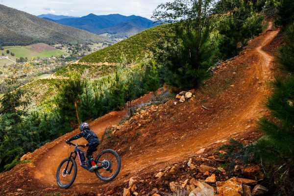 Cyclist decending on single track with bike with landscape mountains in background, Bright Victoria