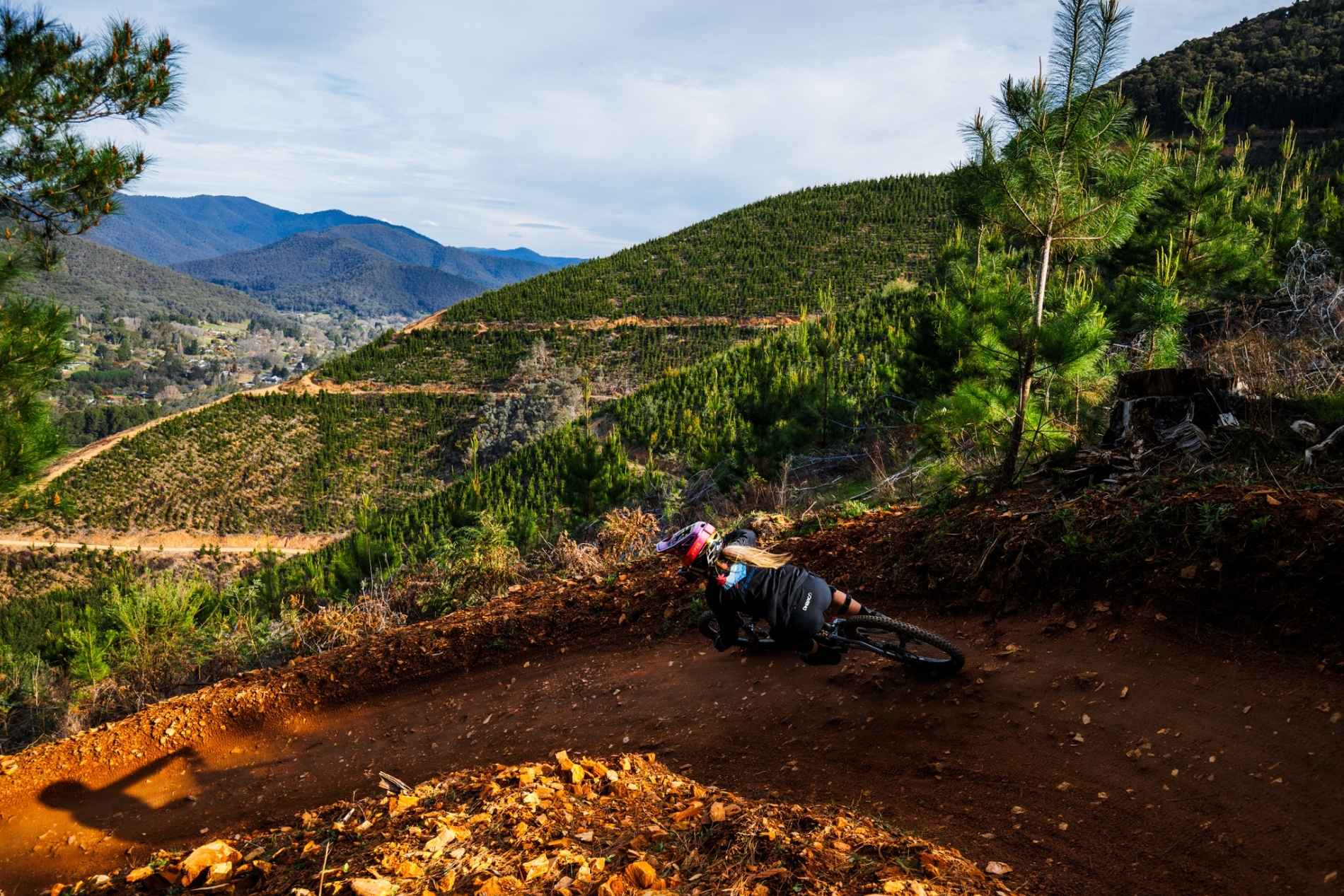 Rider with mountain bike with pine forest in background at mystic bike park bright