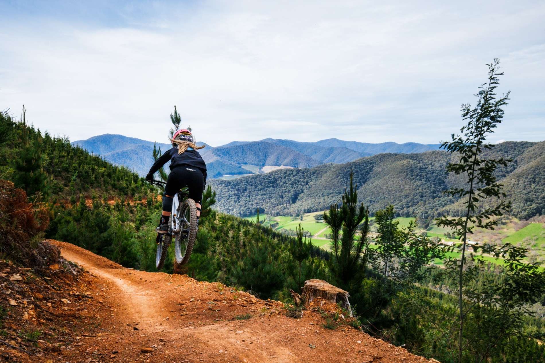 rider jumping mtb in amongst pines in Bright victoria mystic bike park