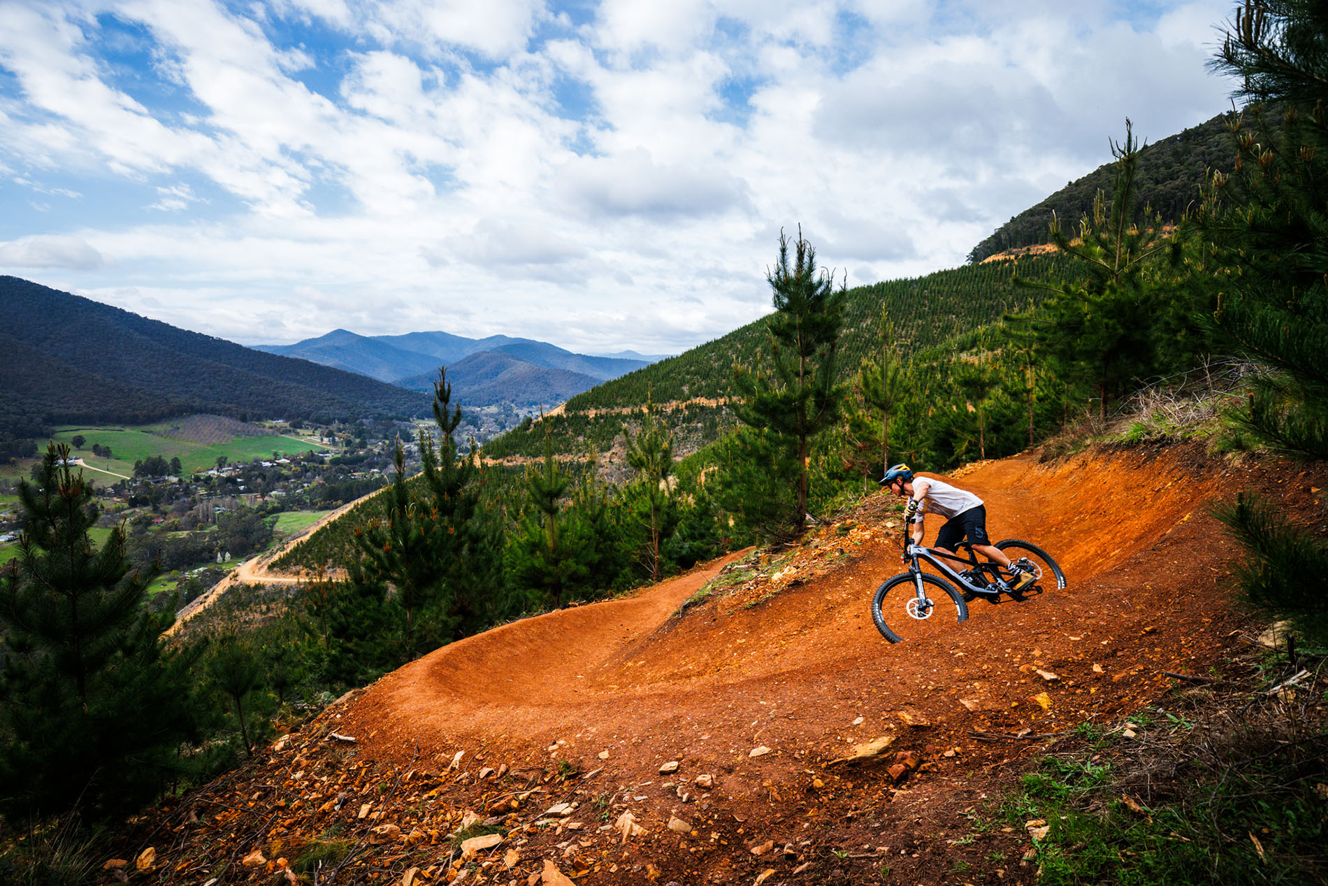 Rider in amongst pines on downhill mountain bike track in Bright Victoria