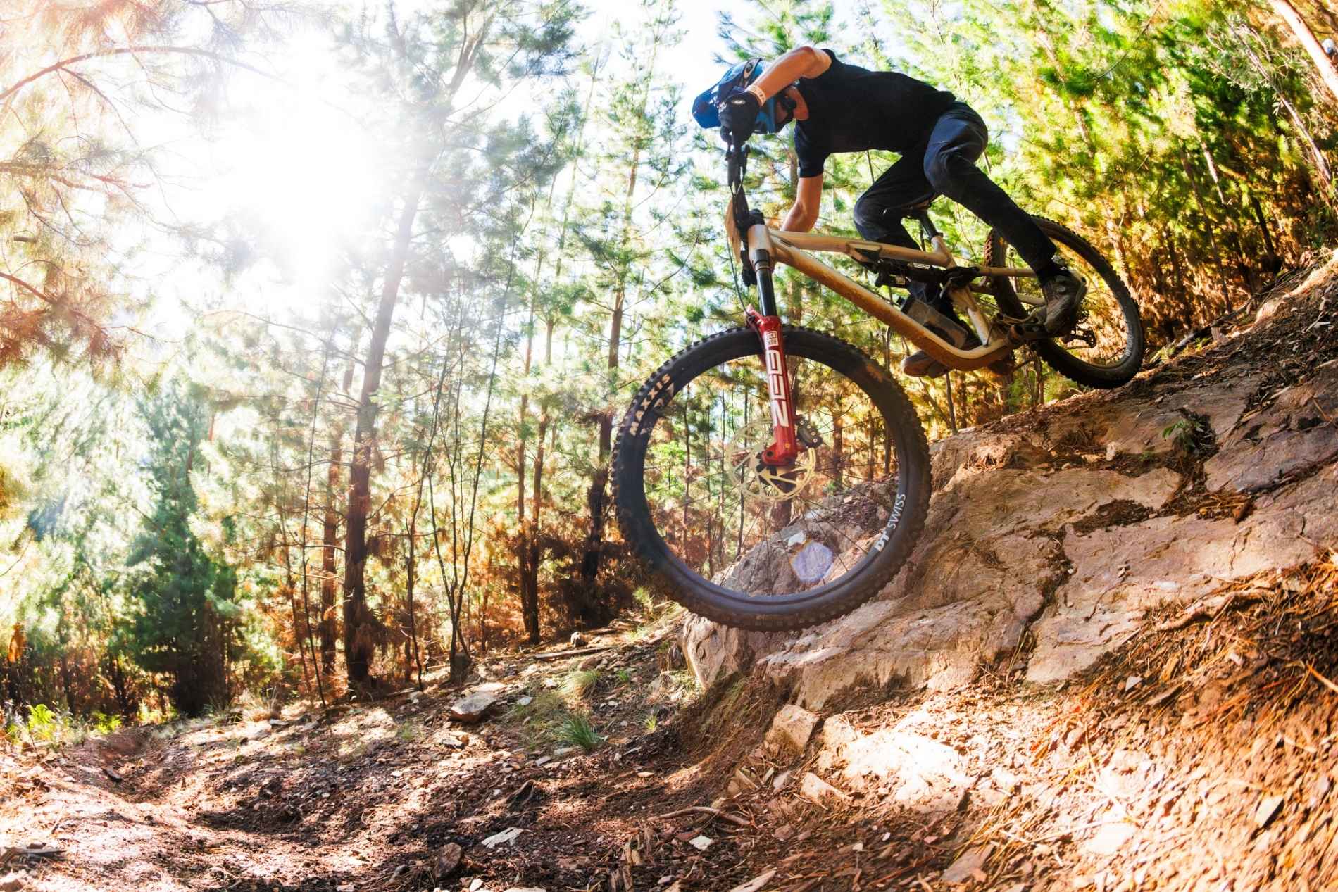 MTB on technical trail in pine plantation in Bright Victoria Mystic bike park