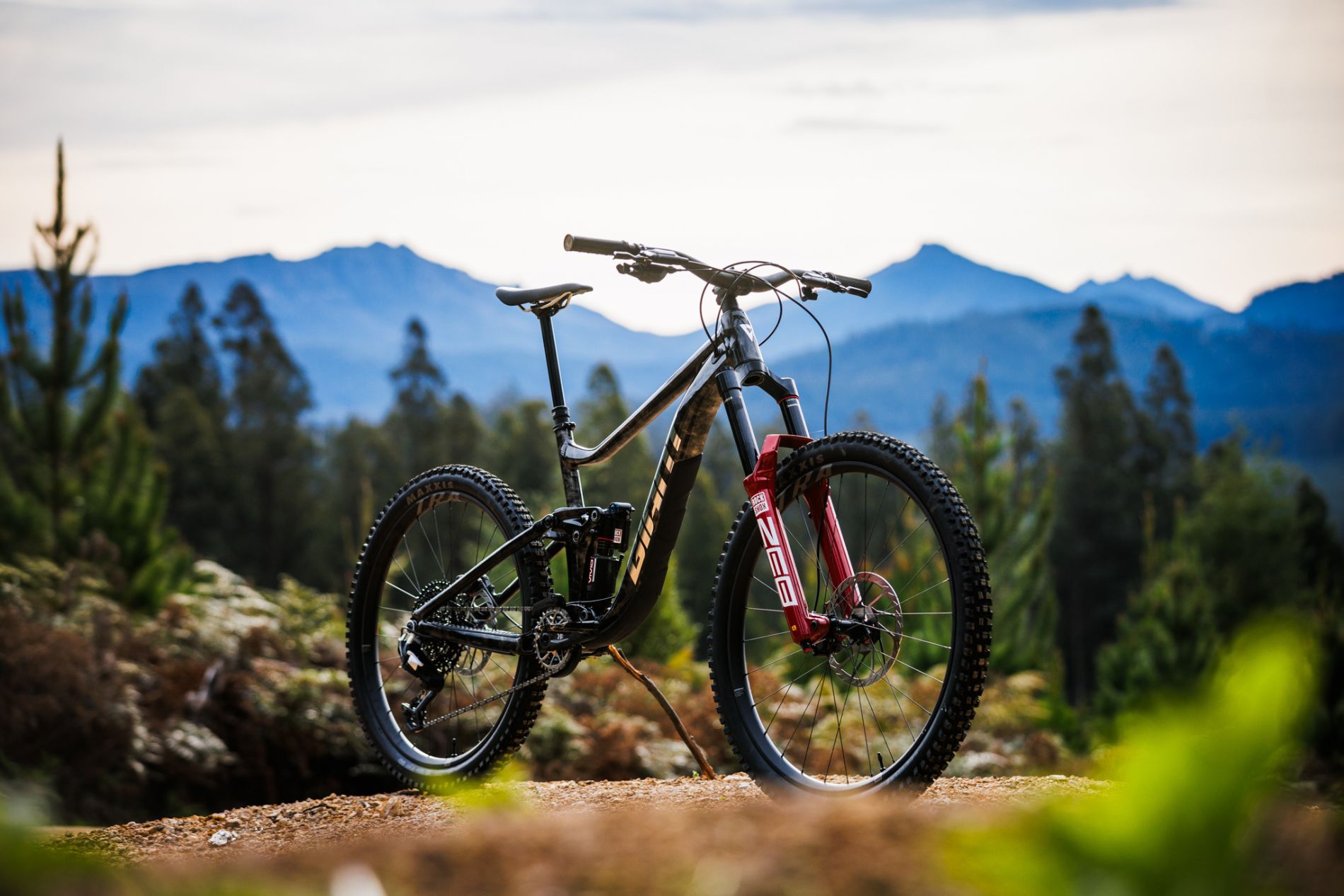 Image of a bike with mountains in background surrounded by pines
