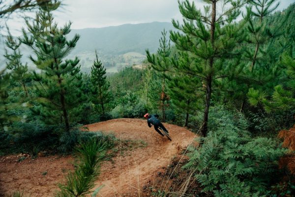 Riding in the pines at Gravity Jam Riding in the pines at Gravity Jam