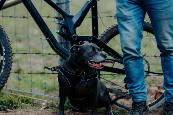 Spectating at Gravity Jam - dogs welcome Spectating at Gravity Jam - dogs welcome